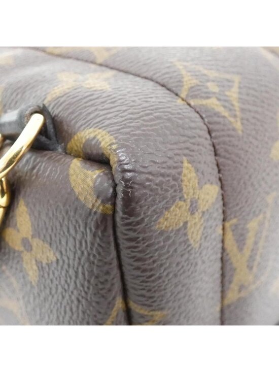 Louis Vuitton Monogram Palm Springs Backpack Mini main image 4